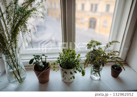 Potted plants and flowers on a window sill. Potted plants and flowers on a window sill. 132962052