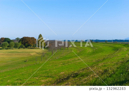 利根川サイクリングロード右岸2025年11月 132962283