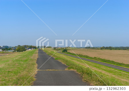 利根川サイクリングロード右岸2025年11月 132962303