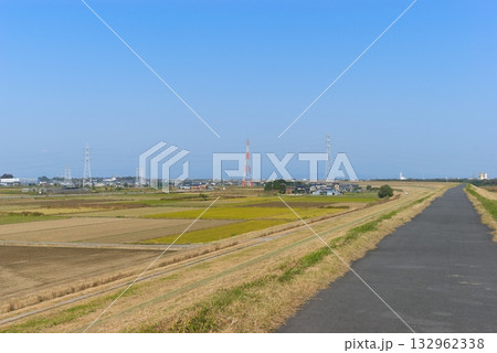 利根川サイクリングロード右岸2025年11月 132962338