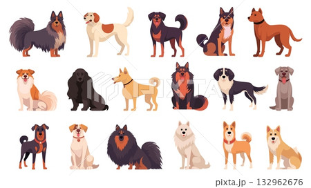 Dogs cartoon set. Dog, Collie Labrador Retriever Rottweiler Chow Chow German Shepherd Basenji Border Collie Cocker Spaniel Longhaired Shepherd Border Collie Weimaraner Doberman Beagle Shetland 132962676