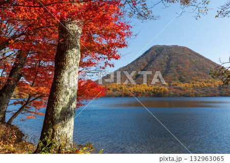 秋の榛名山　榛名湖と榛名富士 132963065