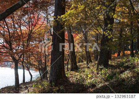 秋の榛名湖畔 群馬県榛名山 秋の榛名湖畔 群馬県榛名山 132963187