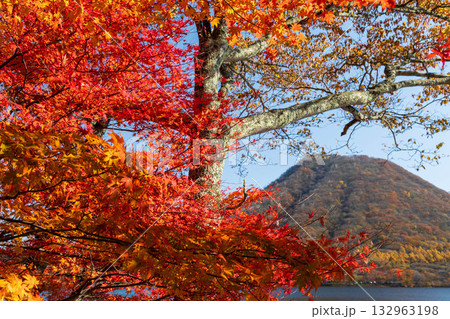 秋の榛名山　群馬県 132963198