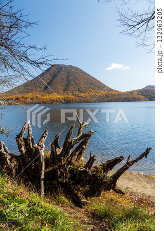 秋の榛名湖畔　群馬県榛名山 132963205