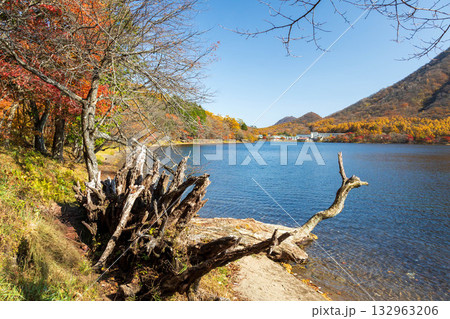 秋の榛名湖畔 群馬県榛名山 秋の榛名湖畔 群馬県榛名山 132963206
