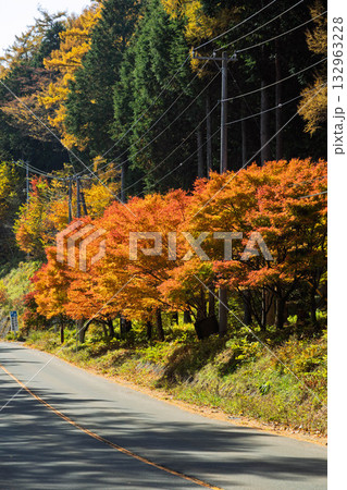榛名湖外周道路の紅葉　群馬県 132963228