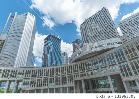 東京都議会議事堂と西新宿の高層ビル群 132963305