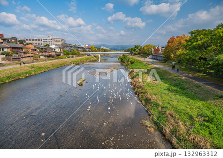 秋の鴨川風景 132963312
