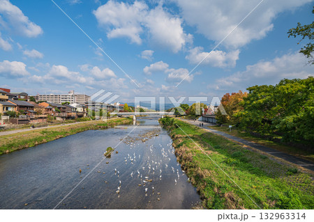 秋の鴨川風景 132963314