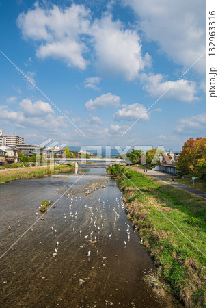 秋の鴨川風景 秋の鴨川風景 132963316