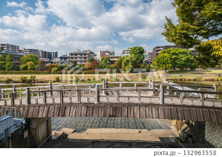 ハト(ドバト) ハト(ドバト) 132963558