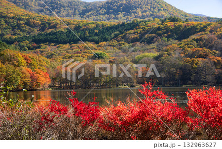 秋の観音沼 132963627