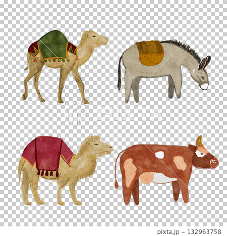 Farm and desert animals set featuring camels, donkey, and cow with decorative saddles. Hand-painted watercolor on white perfect for nativity scenes, Christmas designs, educational and travel projects 132963758