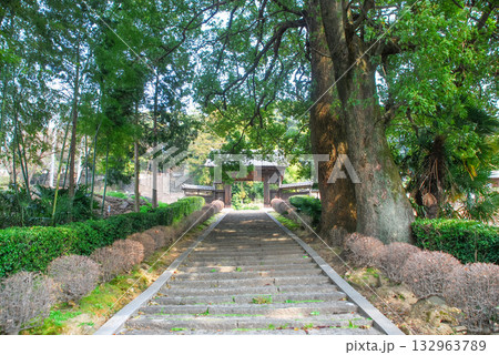 犬山市 瑞泉寺参道（愛知） 132963789