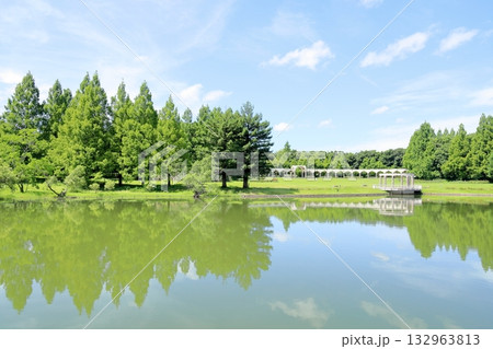 夏の公園 132963813
