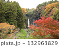 白糸の滝と紅葉 132963829