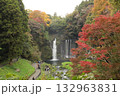 白糸の滝と紅葉 132963831