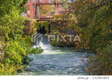 秋の琵琶湖疏水風景　京都市 132963903