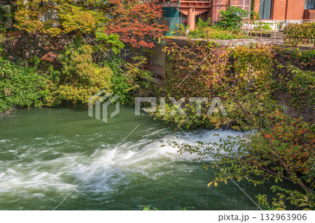 秋の琵琶湖疏水風景 京都市 秋の琵琶湖疏水風景 京都市 132963906