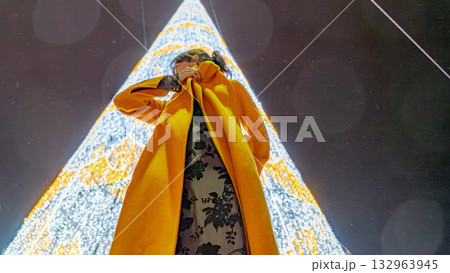 Style and Christmas tree Style and Christmas tree 132963945