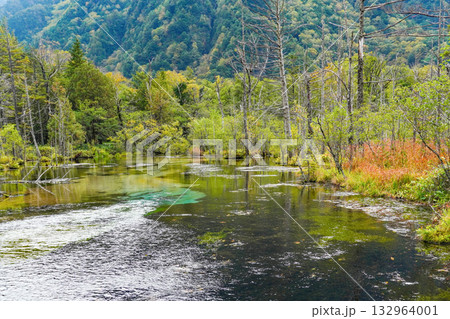 上高地 涸沢湿原 132964001
