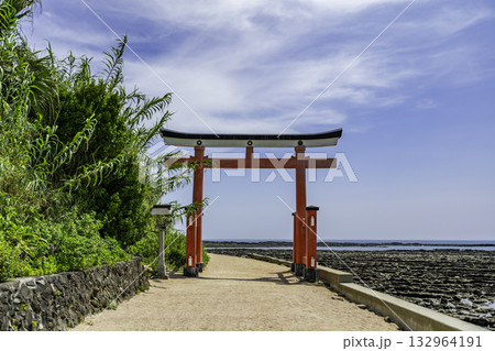 宮崎　青島神社　鳥居　宮崎県宮崎市 132964191