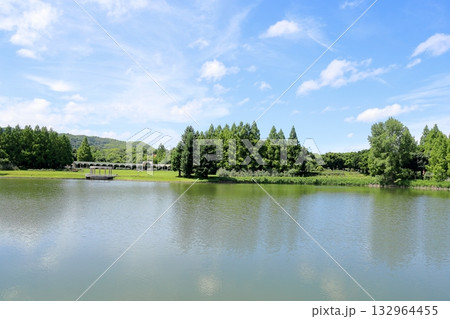 夏の公園 132964455