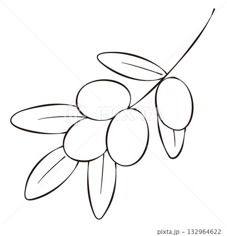 モノクロのペン画風のオリーブの枝のイラスト 132964622