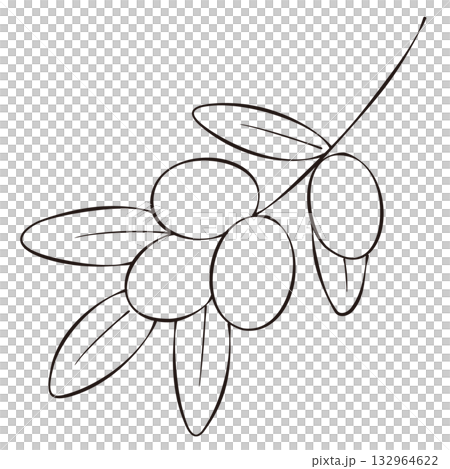 モノクロのペン画風のオリーブの枝のイラスト 132964622