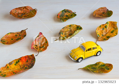 落ち葉のフレーム 132965023