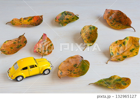 落ち葉のフレーム 132965127