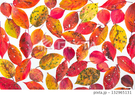 落ち葉のフレーム 132965131