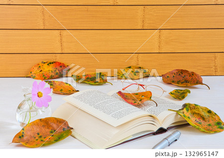 落ち葉のフレーム 132965147