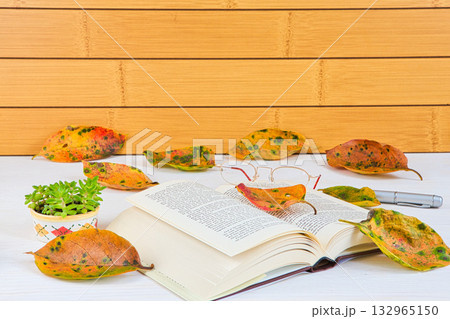 落ち葉のフレーム 132965150