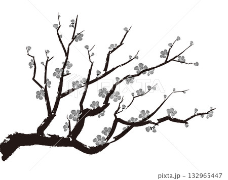 墨絵の梅モノクロ 墨絵の梅モノクロ 132965447