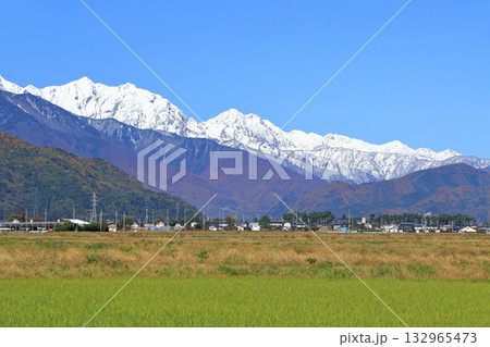 晩秋の北アルプス後立山連峰 晩秋の北アルプス後立山連峰 132965473