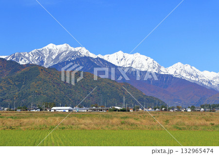 晩秋の北アルプス後立山連峰 132965474