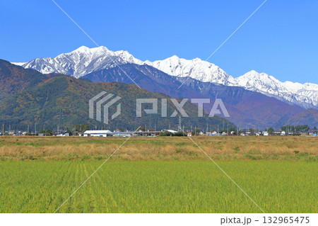 晩秋の北アルプス後立山連峰 晩秋の北アルプス後立山連峰 132965475