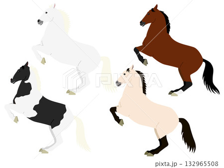 後足で立ち上がる馬のセット2 後足で立ち上がる馬のセット2 132965508