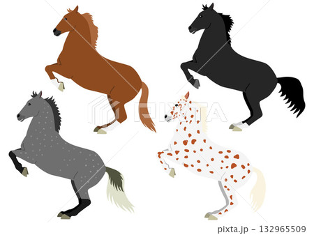 後足で立ち上がる馬のセット1 132965509