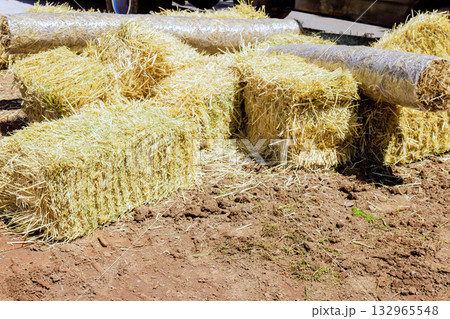 Hay bales are stacked on bare ground next to gravel road in rural setting, highlighting agricultural supplies. Hay bales are stacked on bare ground next to gravel road in rural setting, highlighting agricultural supplies. 132965548