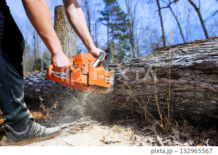 Worker uses chainsaw to cut through large fallen tree in park after hurricane 132965567