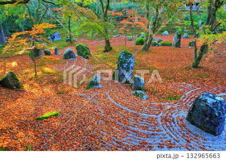 秋の光明禅寺庭園（福岡県太宰府市） 132965663