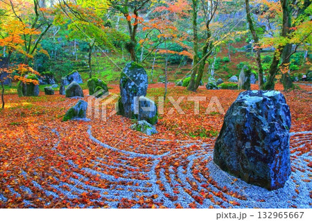 秋の光明禅寺庭園（福岡県太宰府市） 132965667