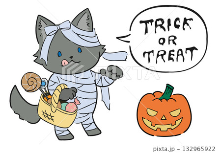 ミイラ男の仮装をした狼(犬)のゆるかわいいハロウィンイラスト 132965922