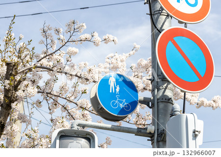 道路標識 (自転車及び歩行者専用) 道路標識 (自転車及び歩行者専用) 132966007