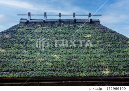 茅葺屋根(愛知県北設楽郡設楽町 田峰観音の舞台) 茅葺屋根(愛知県北設楽郡設楽町 田峰観音の舞台) 132966100
