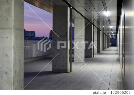 連続するコンクリート打ち放しの柱 連続するコンクリート打ち放しの柱 132966203