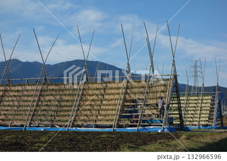 大根を天日干しする大根やぐらのある宮崎県の風景 132966596